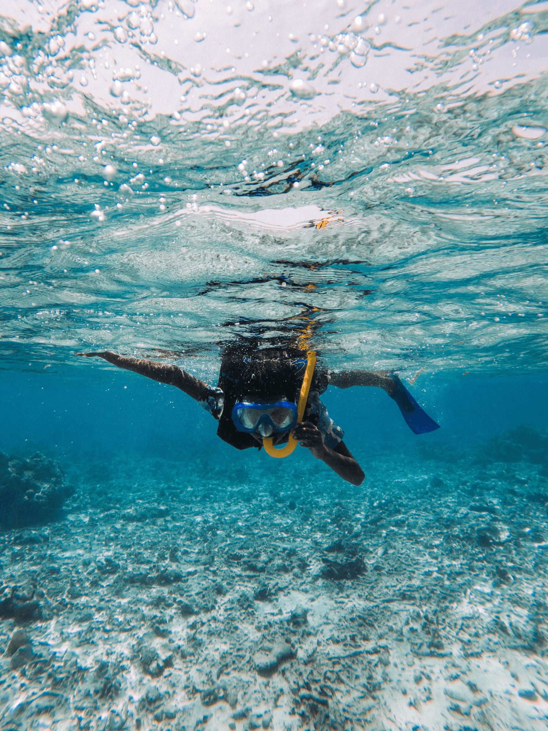 Sea Adventures